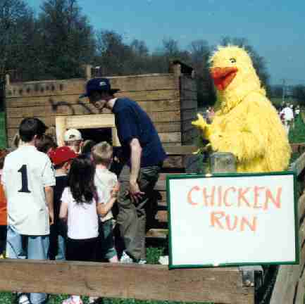 Image of: This school is finding out more about free range organic chickens with the help of Chicken Man.